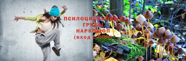 амф Сясьстрой