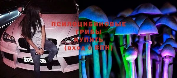 амф Сясьстрой