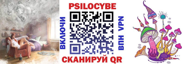 купить наркотик  Чегем  Галлюциногенные грибы мицелий 