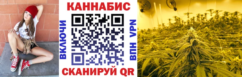 Шишки марихуана сатива  Чегем 